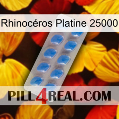 Rhinocéros Platine 25000 22